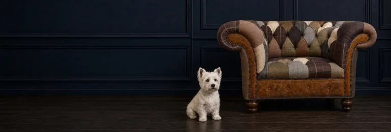 Chesterfield Armchair Colours: Choosing the Right Shade for Your Living Room